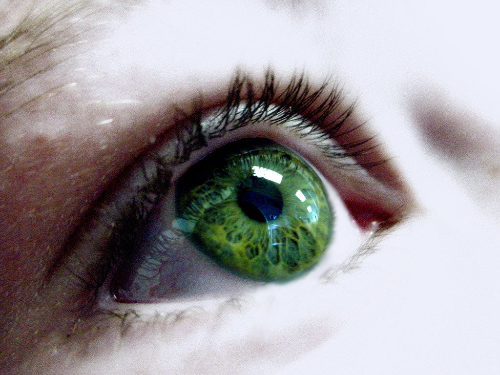 Eye movement desensitization and reprocessing
