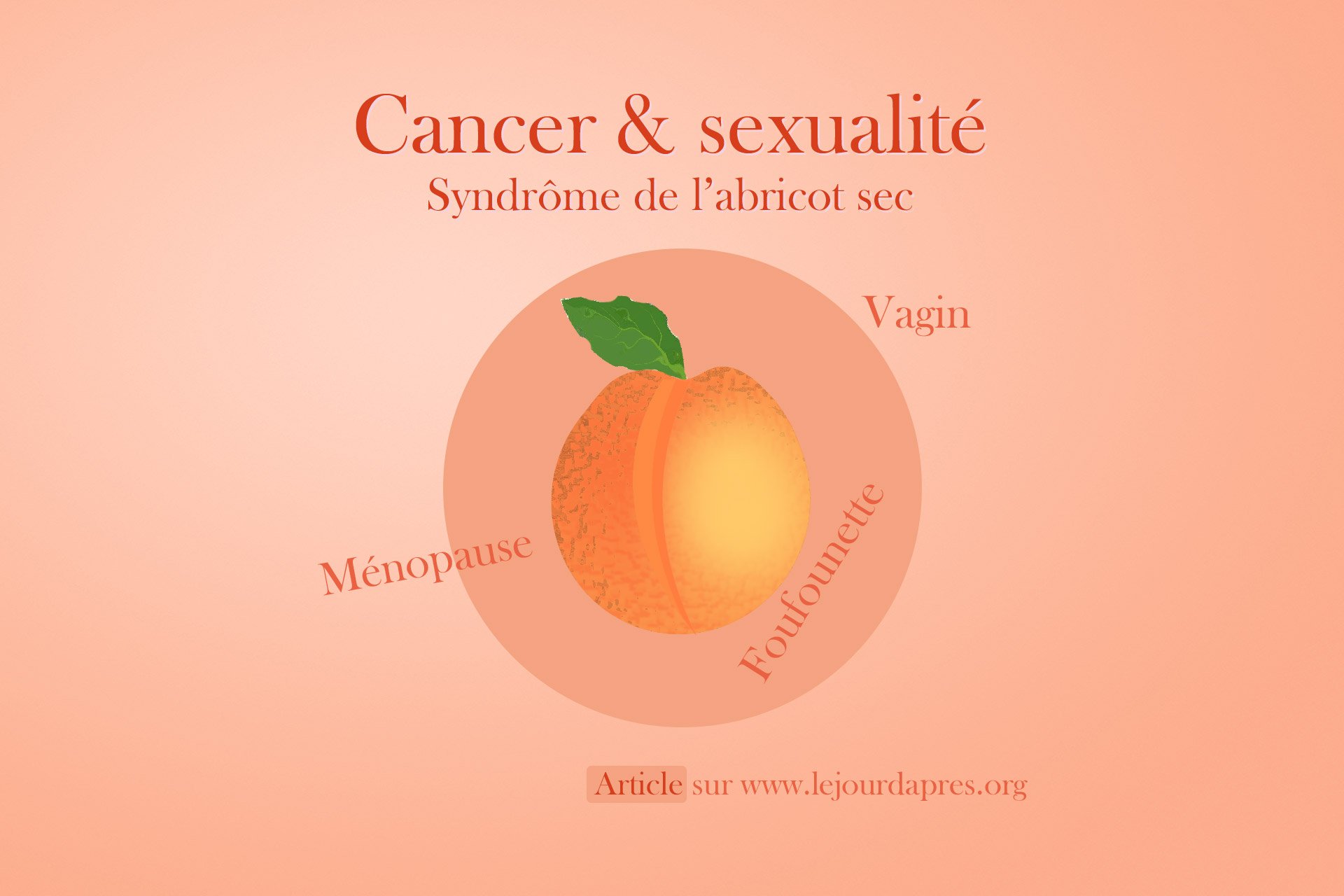 Cancer, ménopause, vagin… ou comment lutter contre le syndrôme de l’abricot sec !